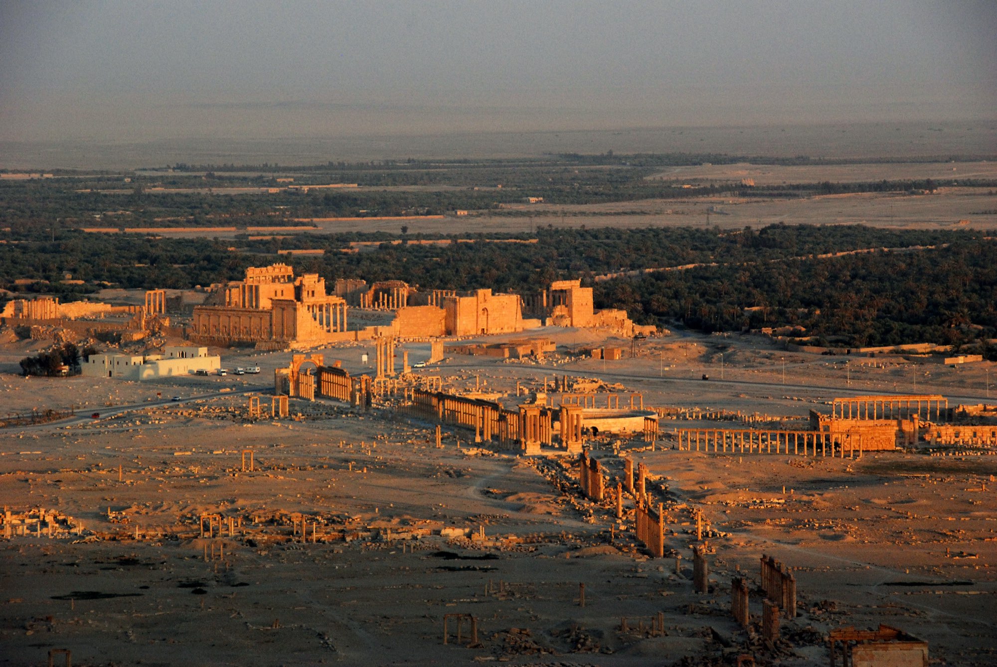 Palmyra i aftensol, med søjlegaden foran og oasens træer bag ruinerne.